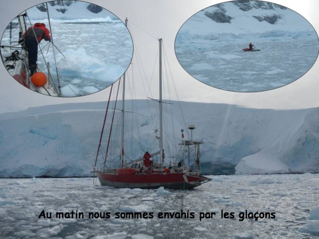 Antartique -10.jpg